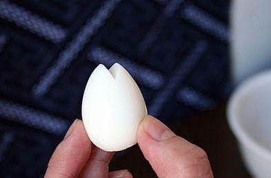 �̵����˵��ֹ���ֽ�̳�