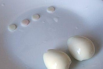 �̵����˵��ֹ���ֽ�̳�