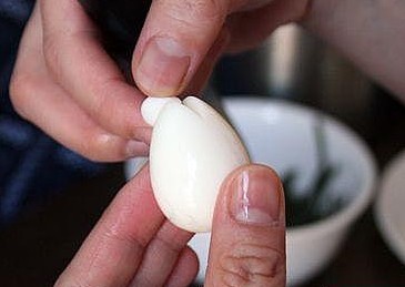 �̵����˵��ֹ���ֽ�̳�