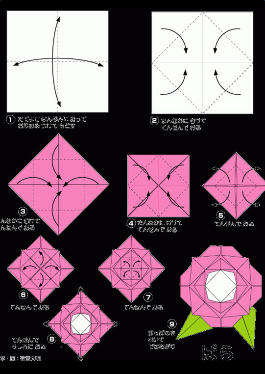 õ����ֽ����ͼ��