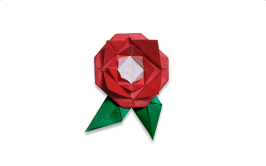 õ����ֽ����ͼ��