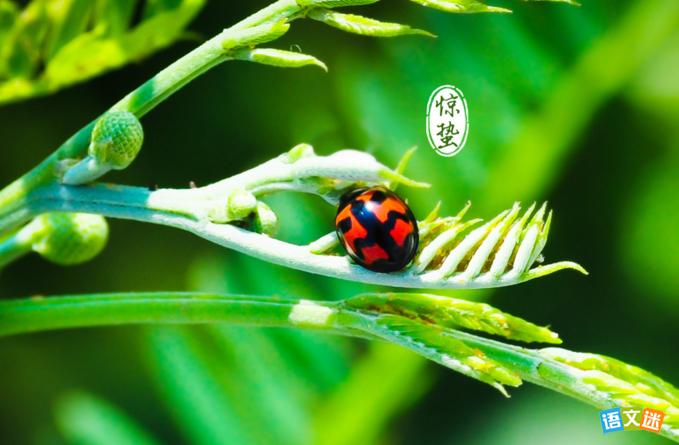 �йؾ��ݽ����Ĺ�ʫ��������ʮ�ף�