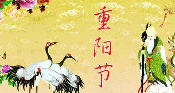 ������˼������