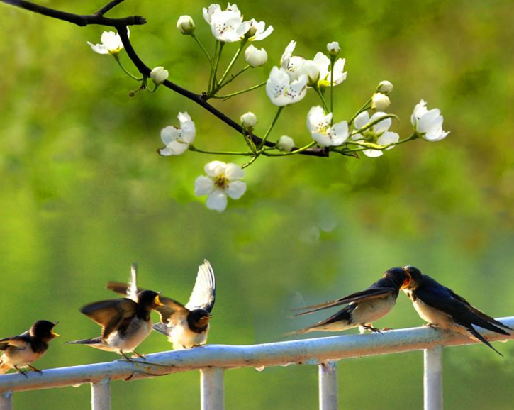 ���ڴ����ɢ�ģ�3ƪ��