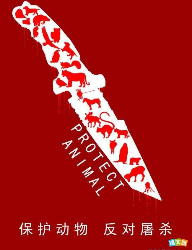 Ӣ�����ģ�������Σ����