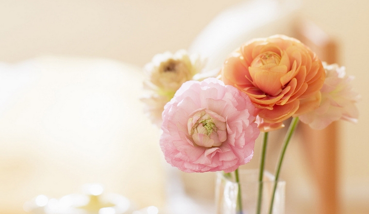 感受那一份美好作文