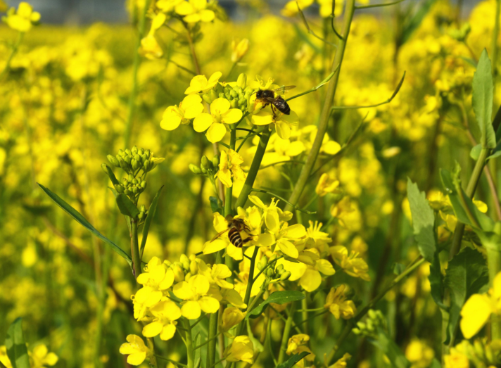 ���ڴ����ɢ����ƪ��2ƪ��