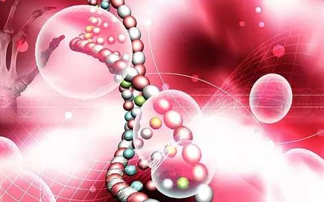 ��������ʵ��֪ʶ�ܽ�