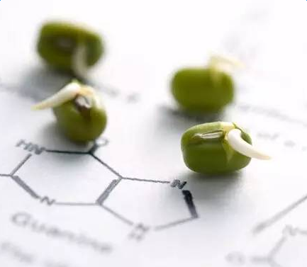 ��������ʵ��֪ʶ�ܽ�