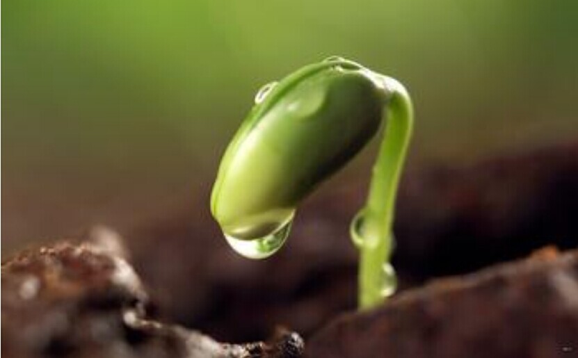 ����һ�����ӵ��ִ�ʫ��