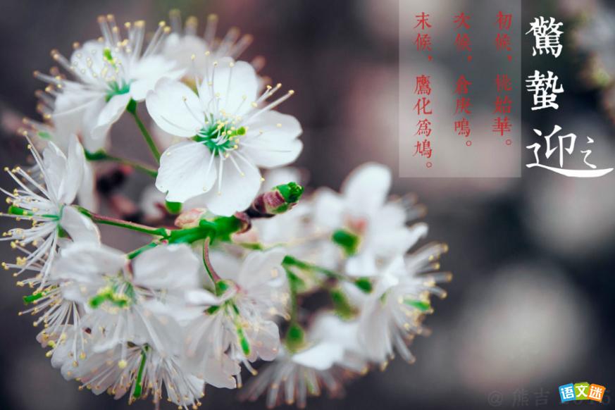 �йؾ��ݽ����Ĺ�ʫ����