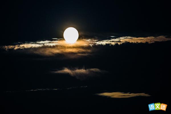 �������������ź�