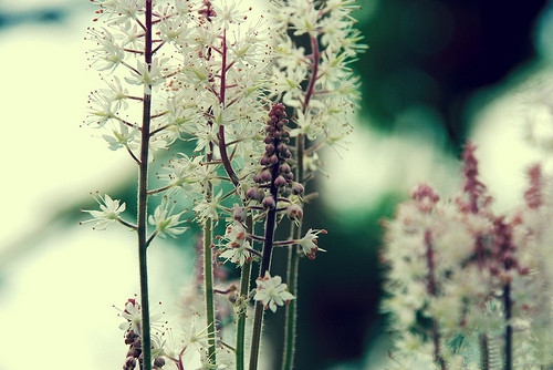 ��ִ�ǰ���ʻ��Ǳ����