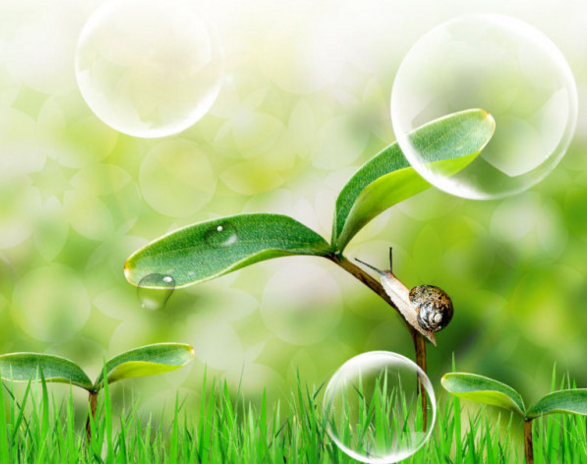 ��д�������ʫ��������