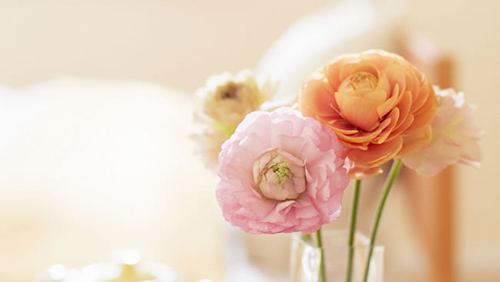 ѧ���½�ʦף���ݽ���