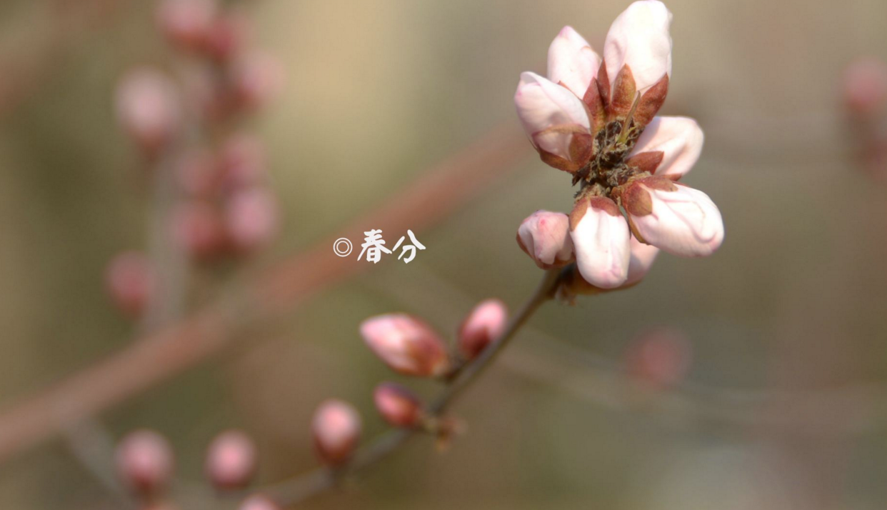 ���ڴ��ֵ�ʫ��ʮ��