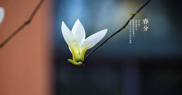 ���ڴ��ֵ�ʫ��ʮ��