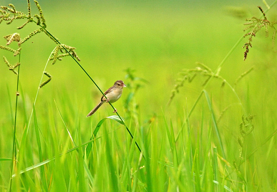 �����塶������д������