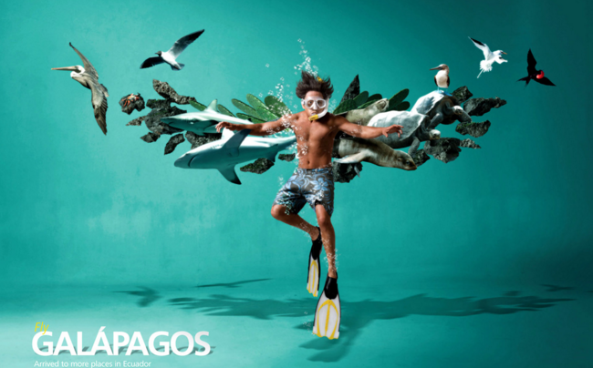 ���ڴ��������ȫ