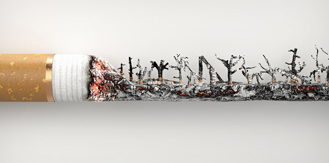 ���ڴ��������ȫ