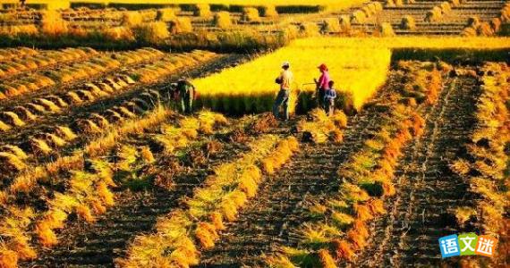 我的家乡高三英语作文