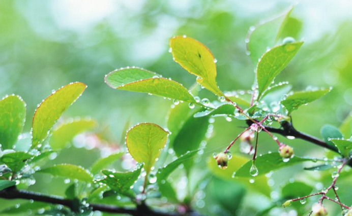 ����ˮ�йص�ʫ��20��