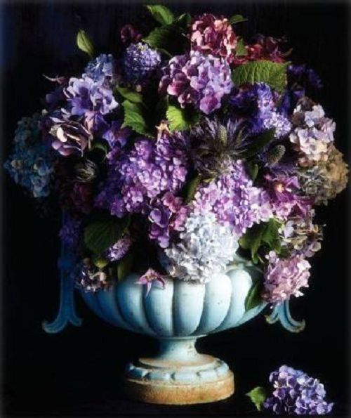 �˶�����̨���ò߻���