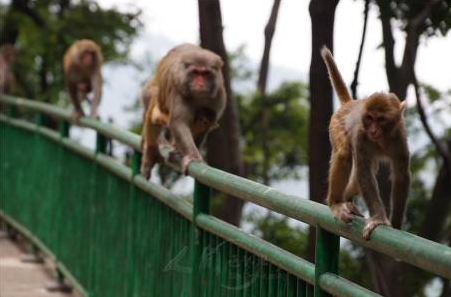 �����븣�µ��δ�