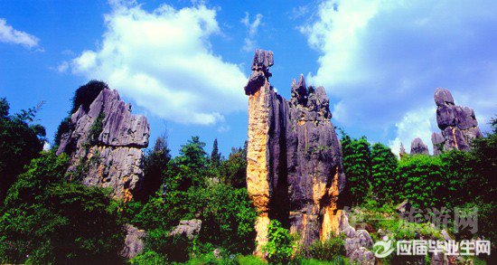 ʯ�ֵĵ��δʸ�ʽ