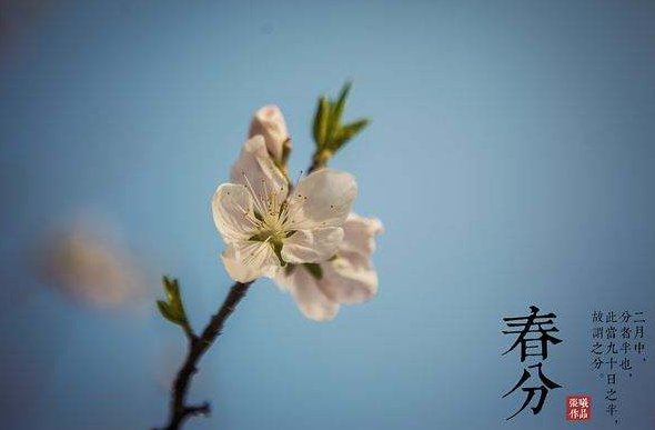 关于春分的诗词及赏析集锦