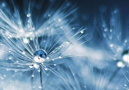 有关雨水节气的诗歌三则