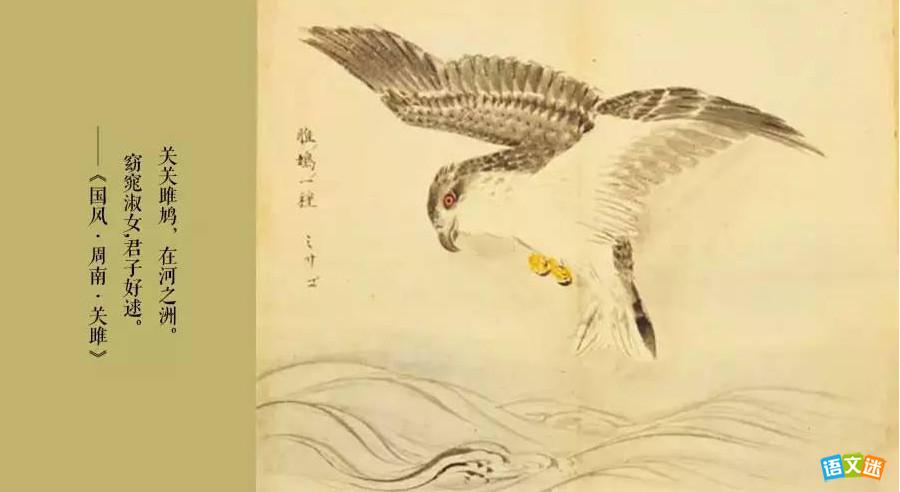 诗经全书共有多少篇