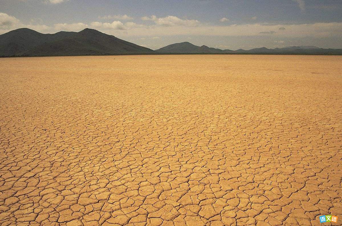 有关保护环境的英语作文:土地荒漠化