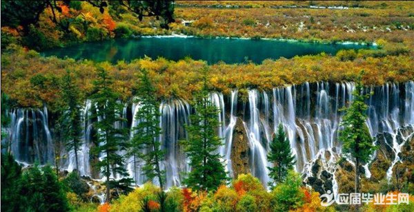 �й������Ų����δ����ķ���