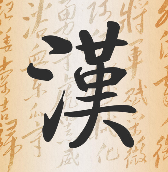 ��ѧ��ʶ��ʹ�ú��ֵĹ���