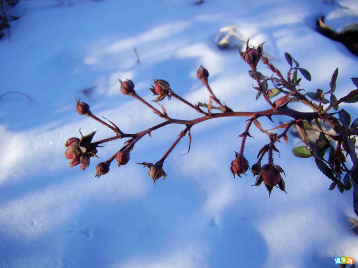 ������������Never Give Up