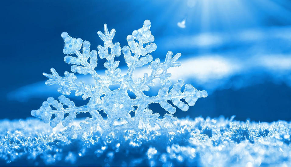 ��ѩ�ĸ�������