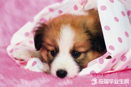 How I Spent My Winter Vacation��һӢ������