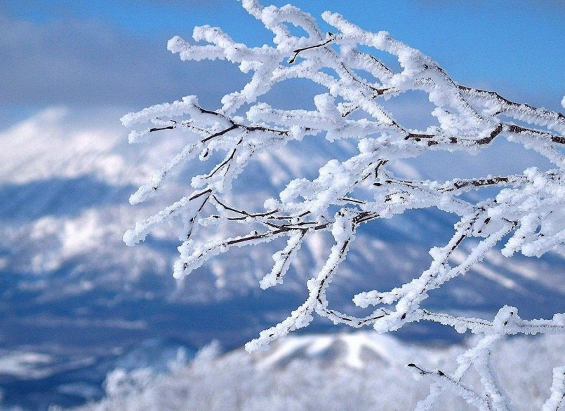 ������Ϊ����ĸ���Ӣ������