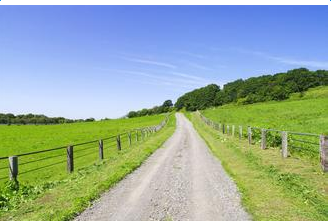 Сѧ���꼶���ģ�����ľ���