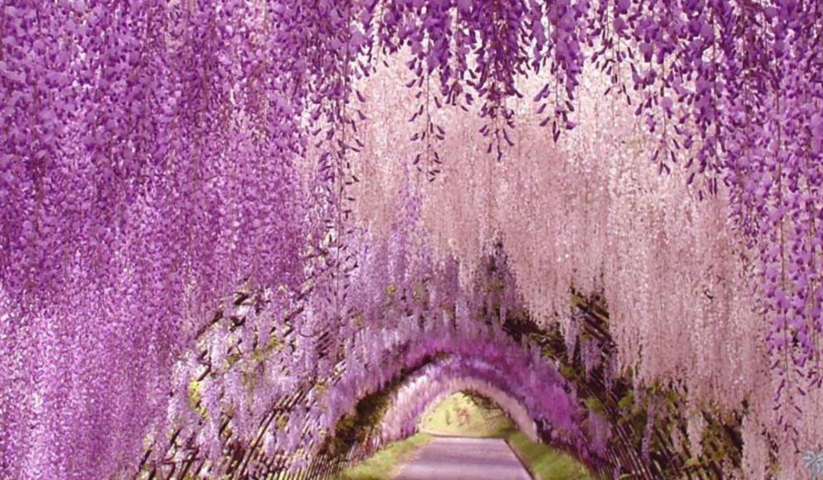 ��象��������ٲ���д������