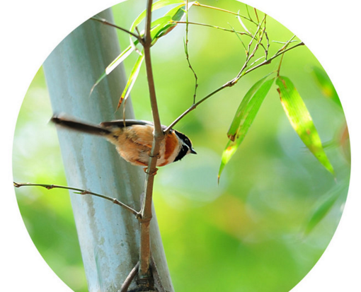 ��д�����������ʫ����