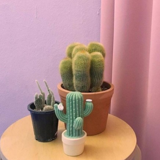 �������������簲˵˵