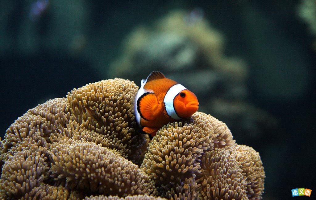 My Childhoodͯ��Ȥ����������