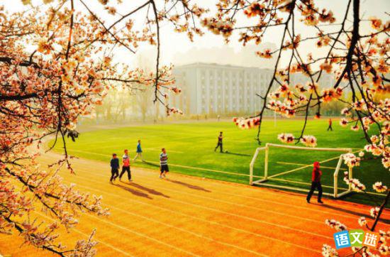 My beautiful schoolӢ������