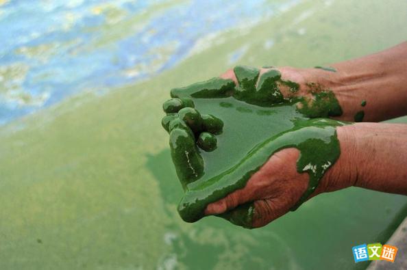 �йػ����ĳ�һӢ������