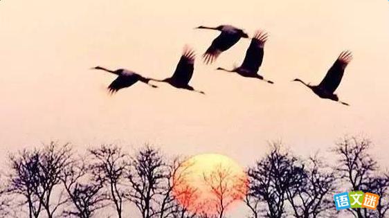 ��ʫ�������硷���ļ�����