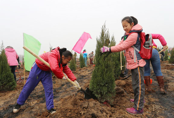 ֲ��������������