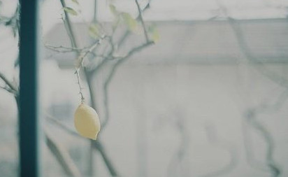 Ӣ�����ģ��ҽ����ļƻ� My Future Plan