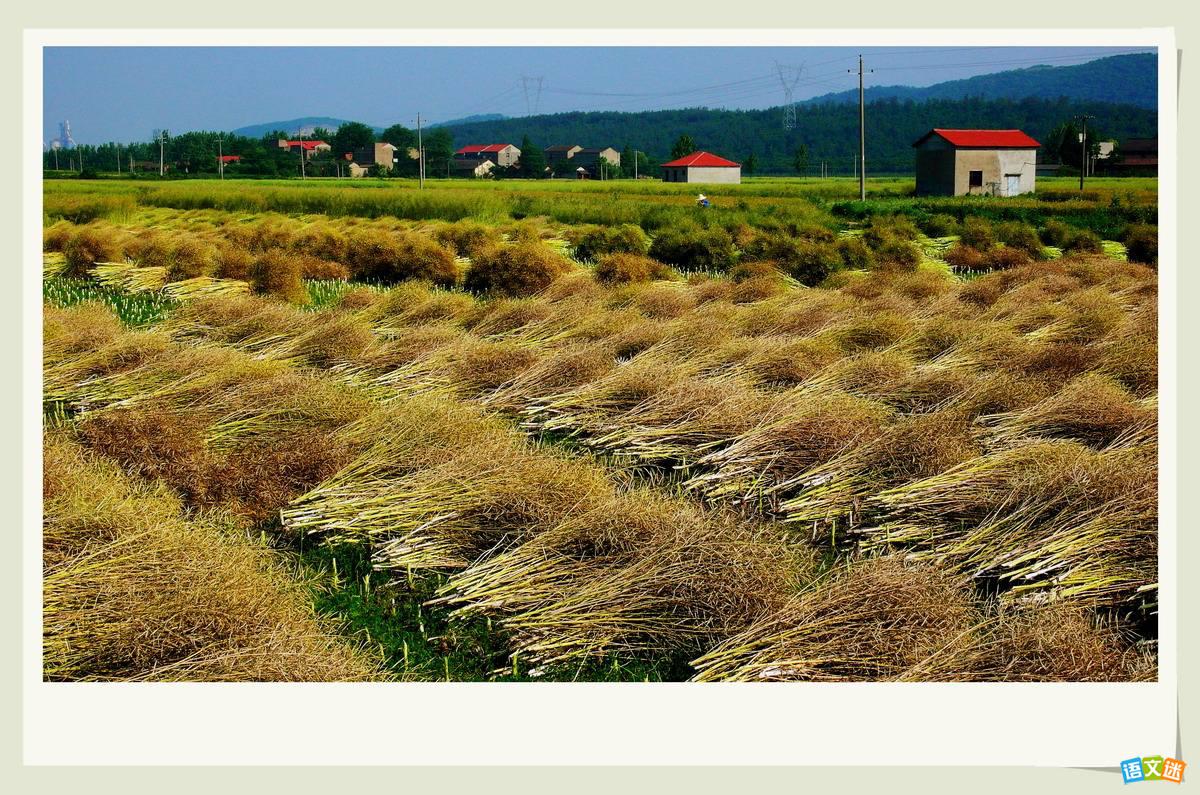 �ҵļ���Ӣ������_My hometown